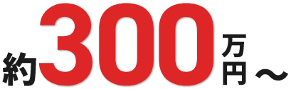 約300万円～